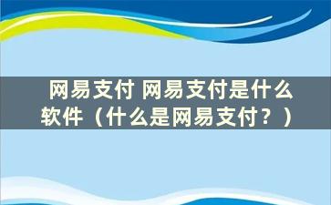 网易支付 网易支付是什么软件（什么是网易支付？）